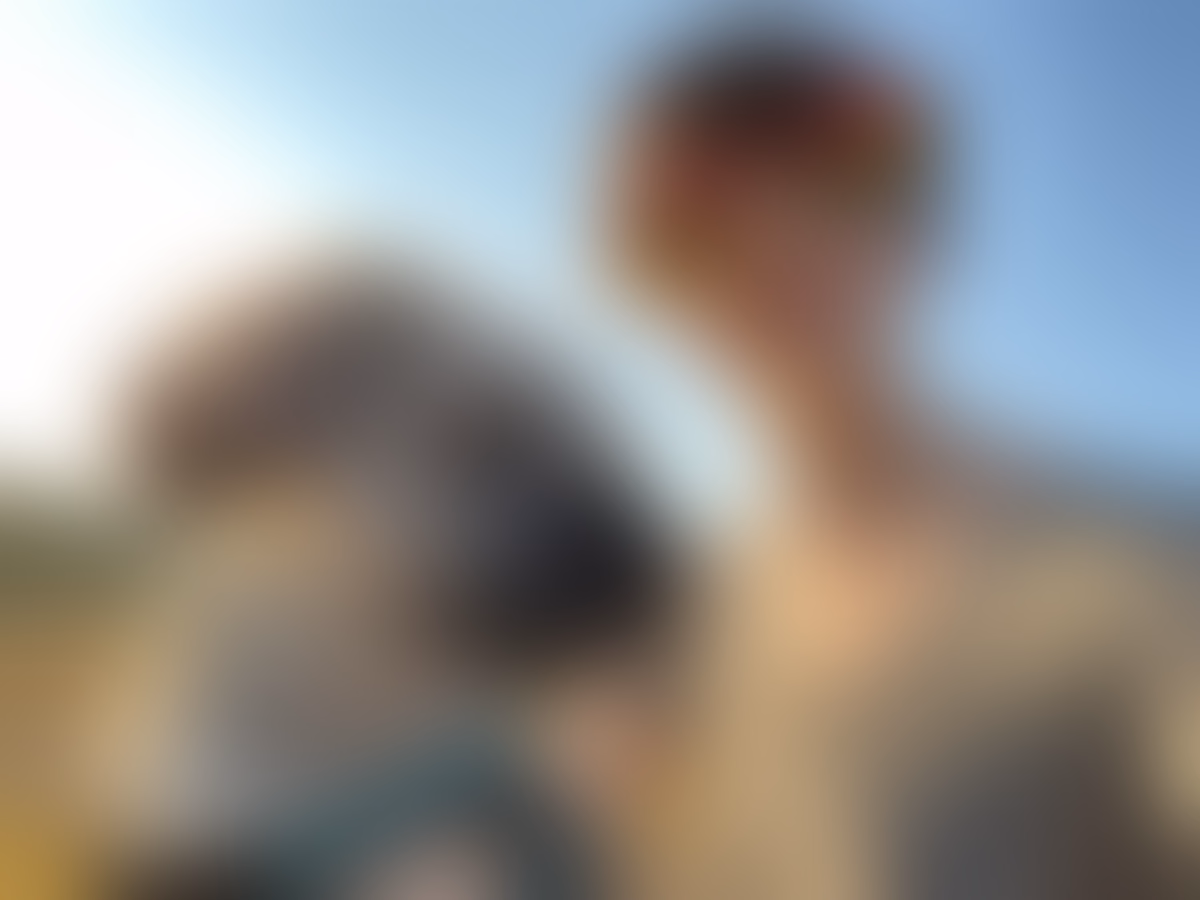 Profile main background