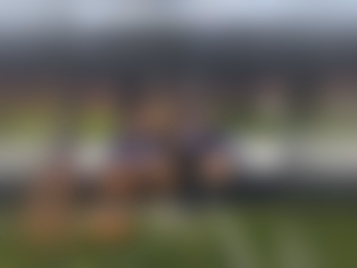 Preview 4 background