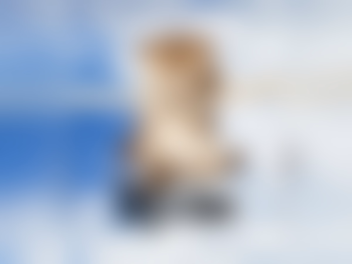 Profile main background