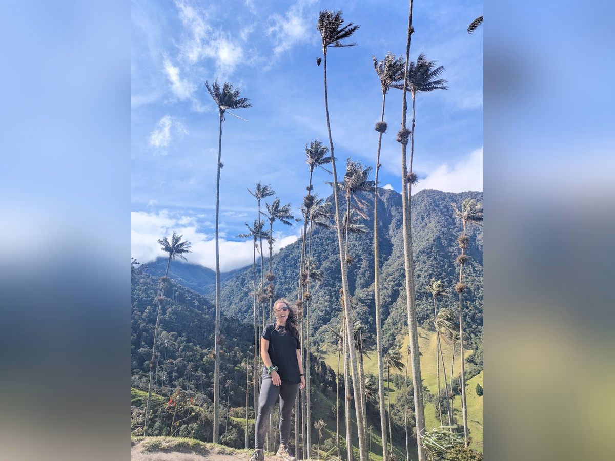 Preview 3 background