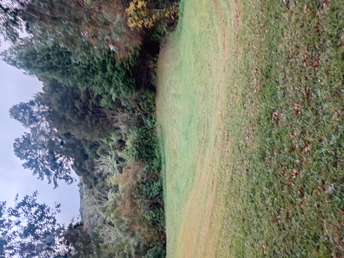 Property 4