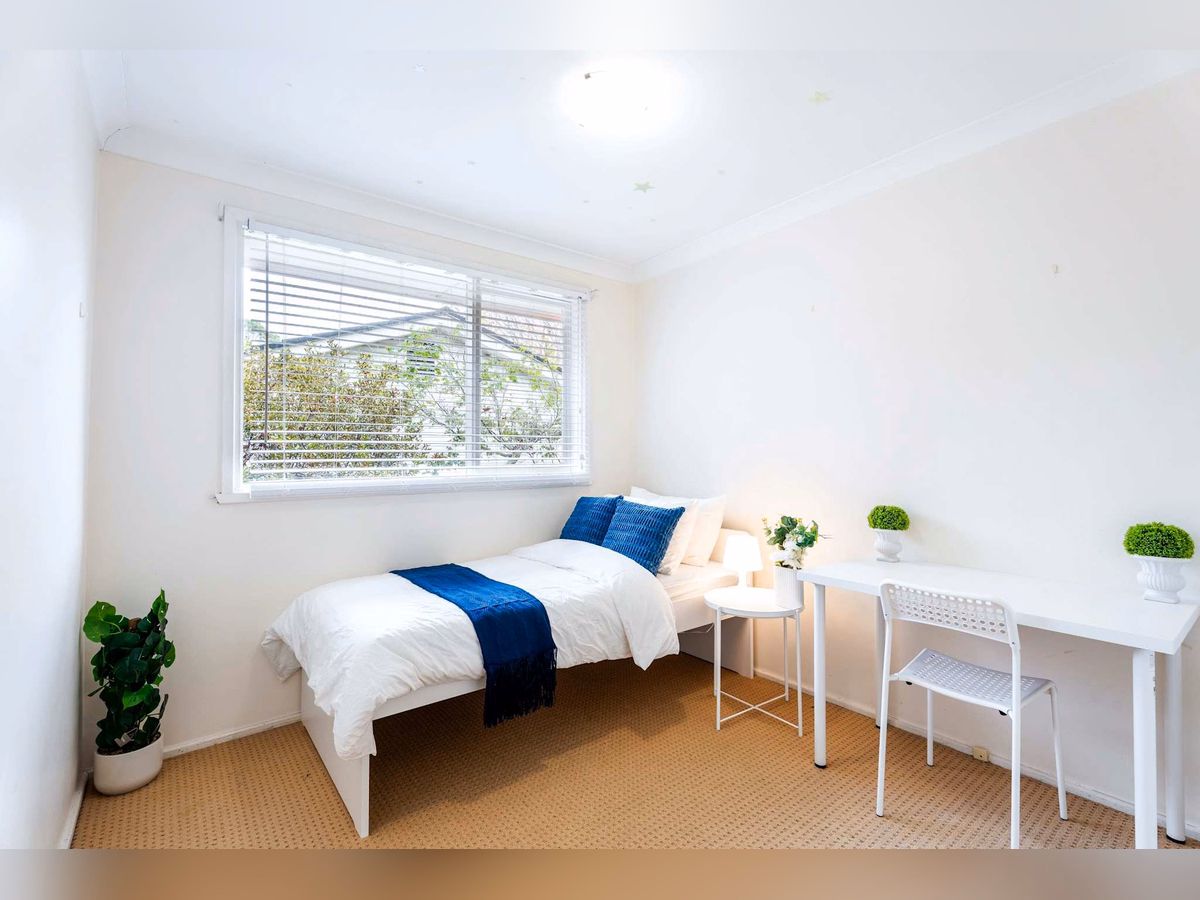 Property main background