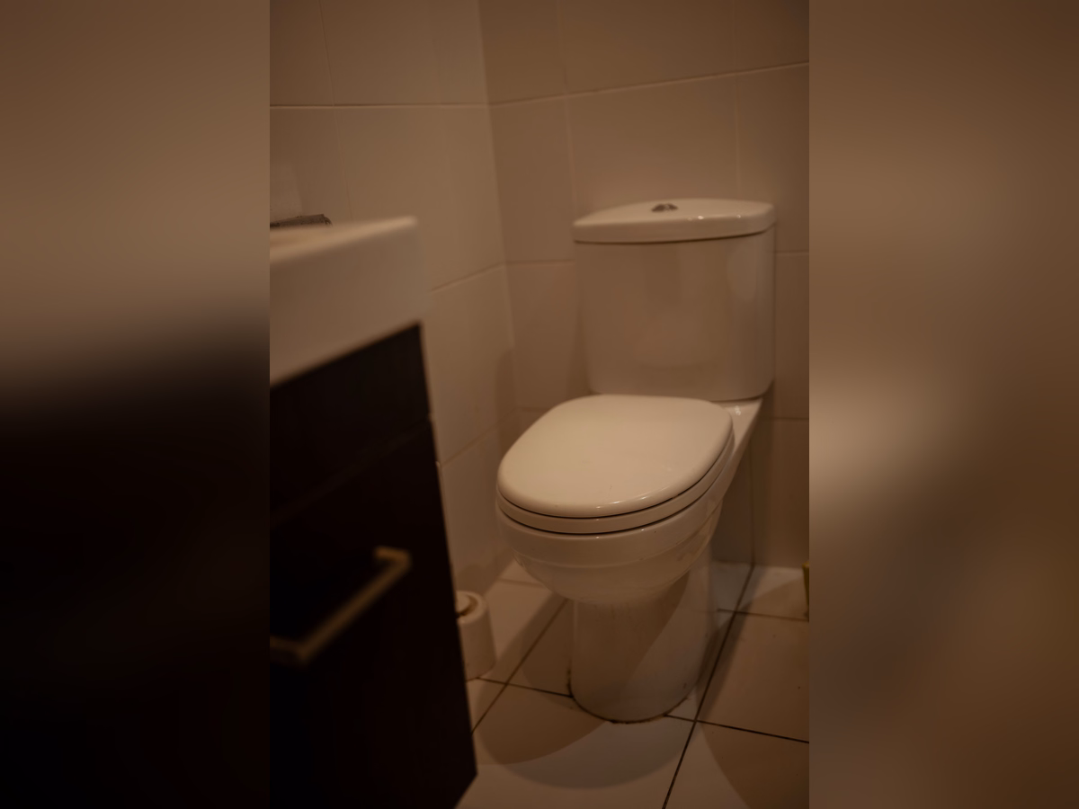 Bathroom – Mount Eden