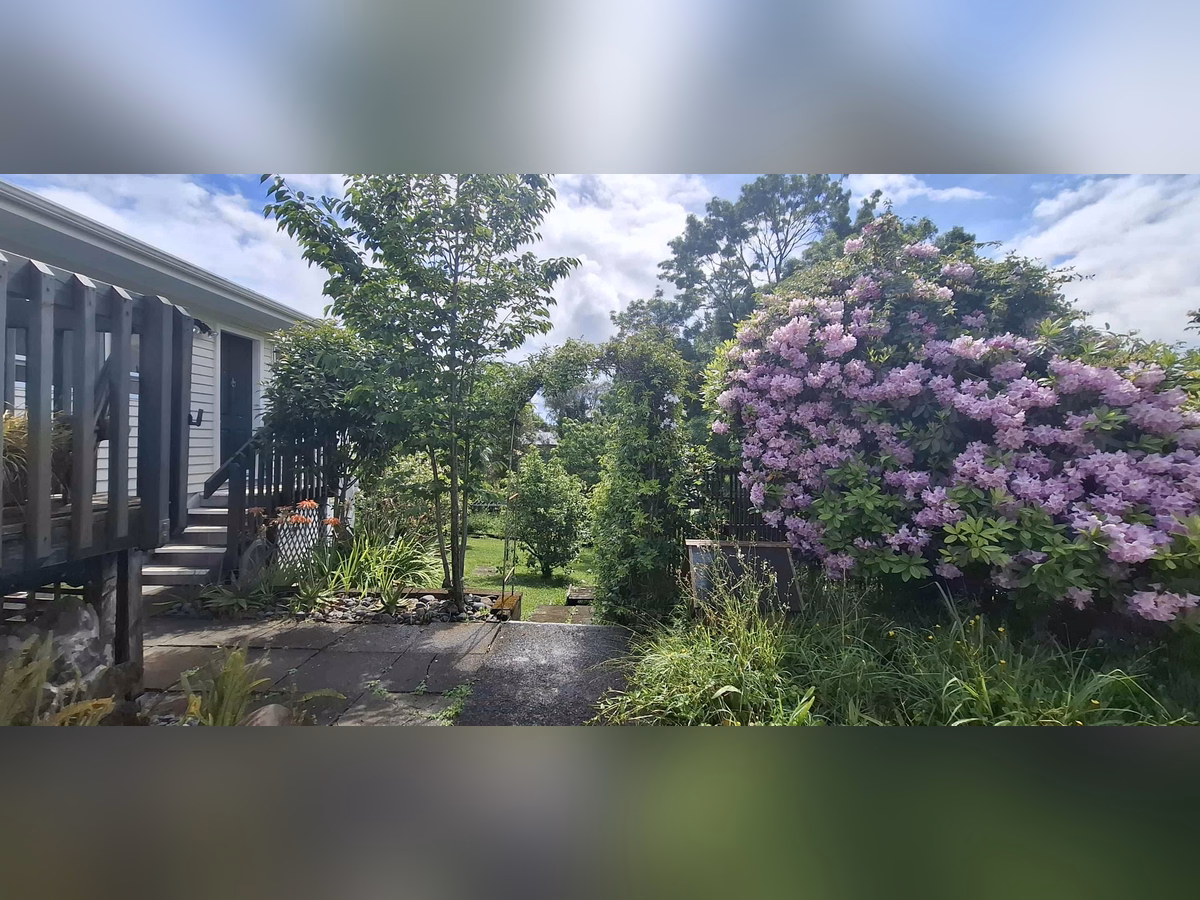 Property preview 2 background