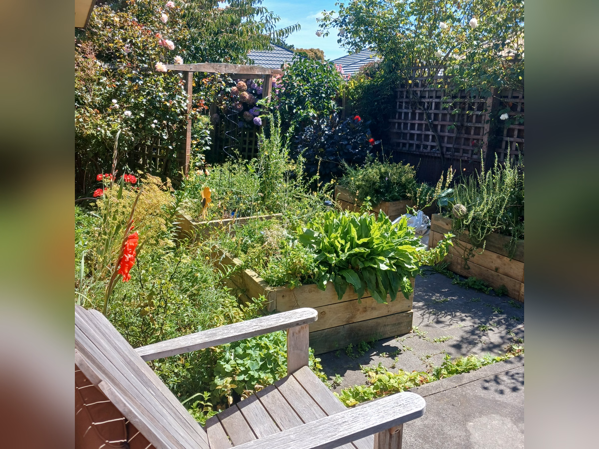 Property preview 4 background