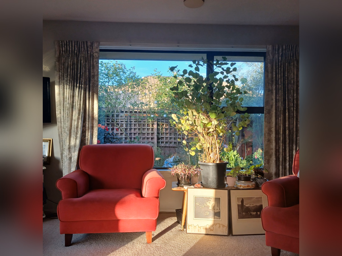Property preview 5 background