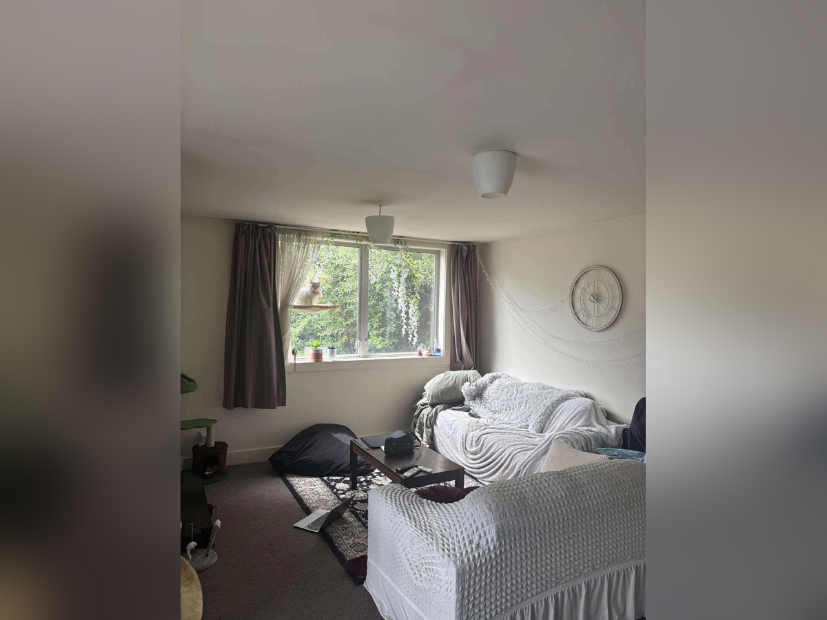 Property preview 5 background